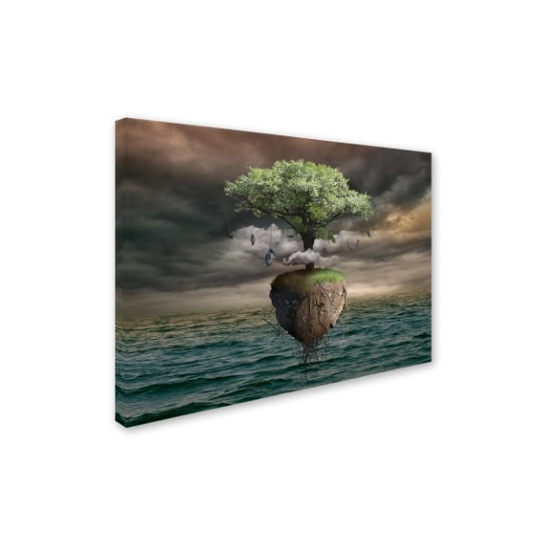 Radoslav Penchev 'Sky Island' Canvas Art,24x32